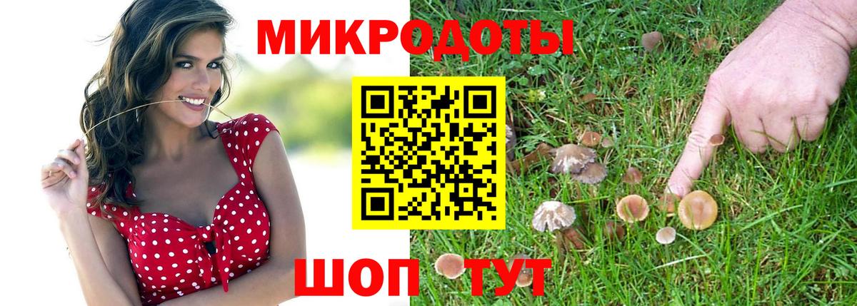 Галлюциногенные грибы мицелий Сокол